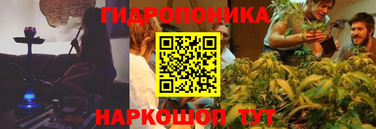 Шишки марихуана марихуана Карталы